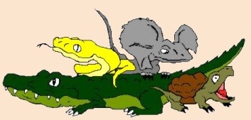 reptile zoo, montreal