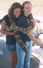 petting zoo